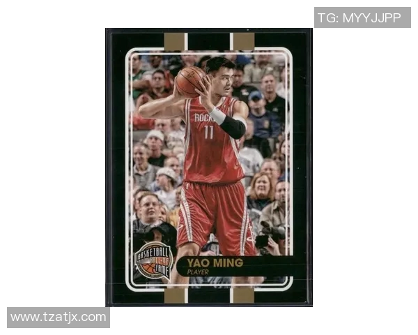 姚明的篮球传奇与人生故事探索之旅，带你了解这位伟大运动员的成就与影响